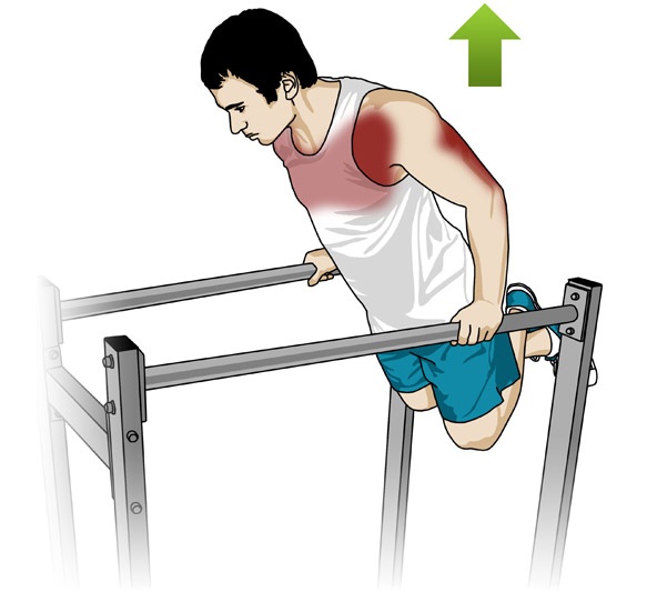 dips.jpg