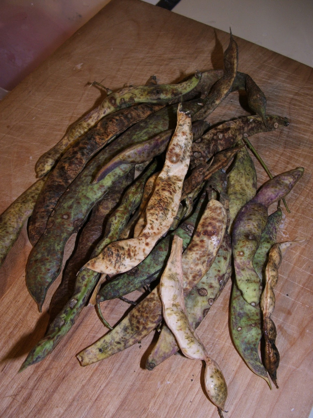 God's Growing Garden Limalike Beans from Green Beans