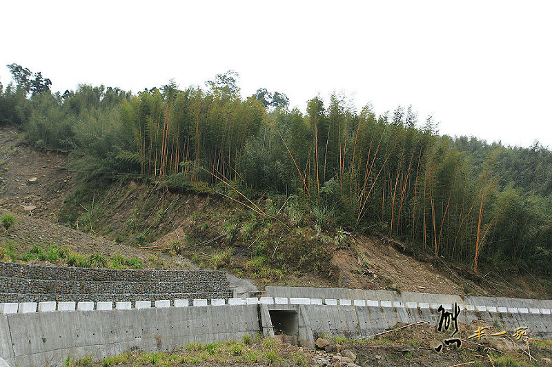 奮起湖石棹景點|龍雲休閒農場森林步道|鐵達尼石 五彩石