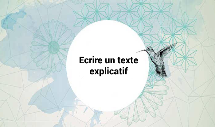 Texte explicatif sur l'internet