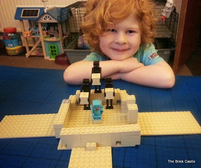 LEGO Minecraft set 21117 - Free creative building