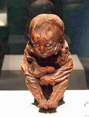The Mummy Baby: 6500 Years old Peruvian Child Mummy | My Crazy Email