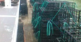 MENGENAL RUMAH IKAN ( FISH APARTEMENT ) - IKAN DAN LAUT