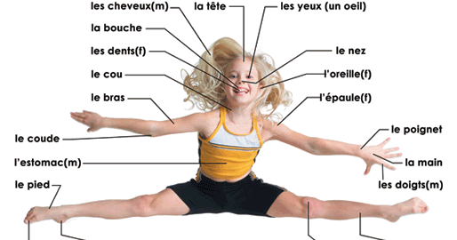 Mal A La Tete En Anglais Sauve qui FLE !: Exprimer une douleur