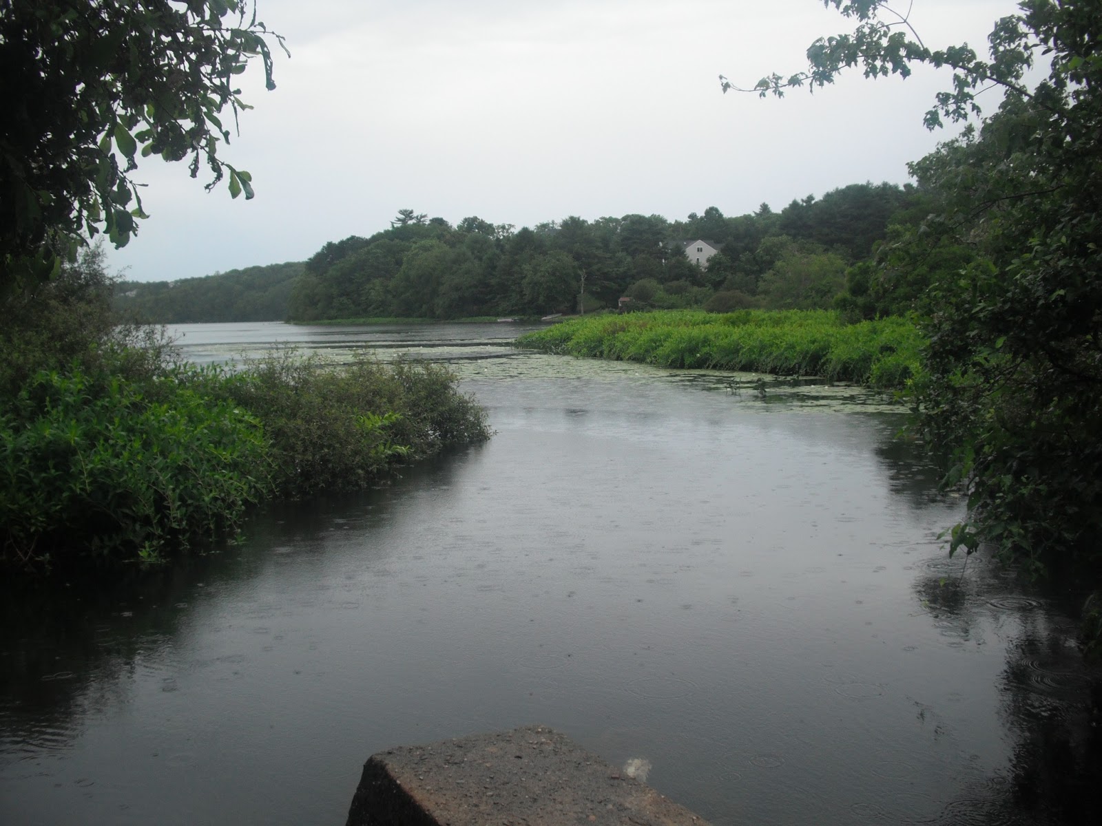 Watershed Action Alliance to WAA, Herring Ponds Watershed