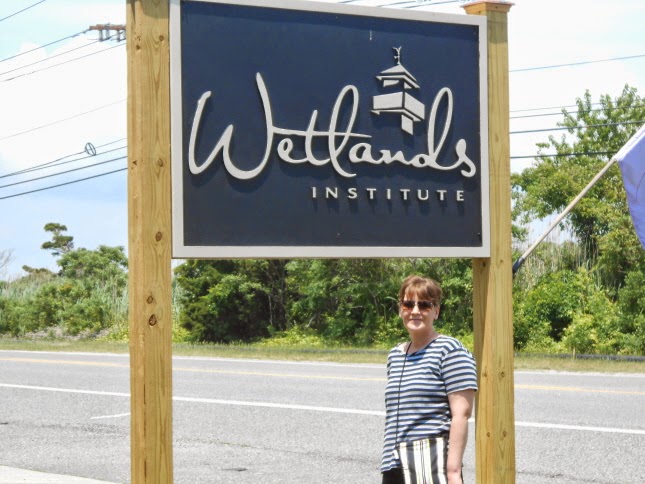 The Wetlands Institute in Stone Harbor New Jersey