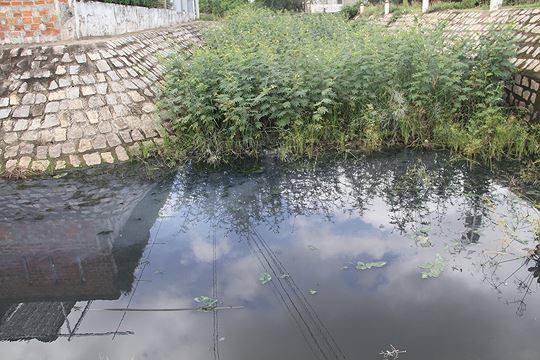 ô nhiễm môi trường ở Bình Định