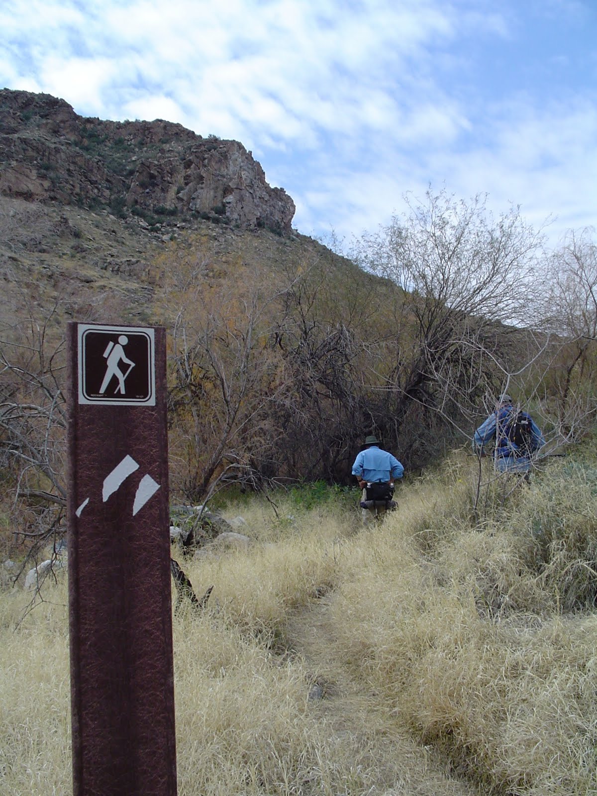 Arizona Hiking WILLOW CANYONMESQUITE LOOP