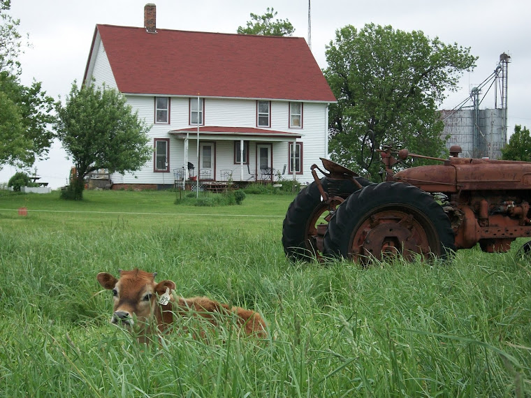 Charming Farmhouse on 10.88 Acres For Sale in Central Illinois The 10
