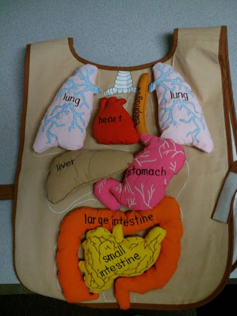Creative Human body Parts made up of cloths for School kids