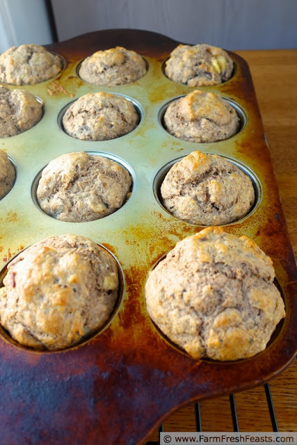 photo of a muffin pan filled with sugar free banana date pecan muffins
