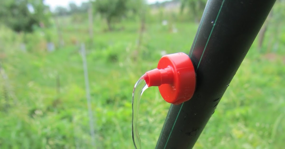 Eaton Rapids Joe Trickle Irrigation