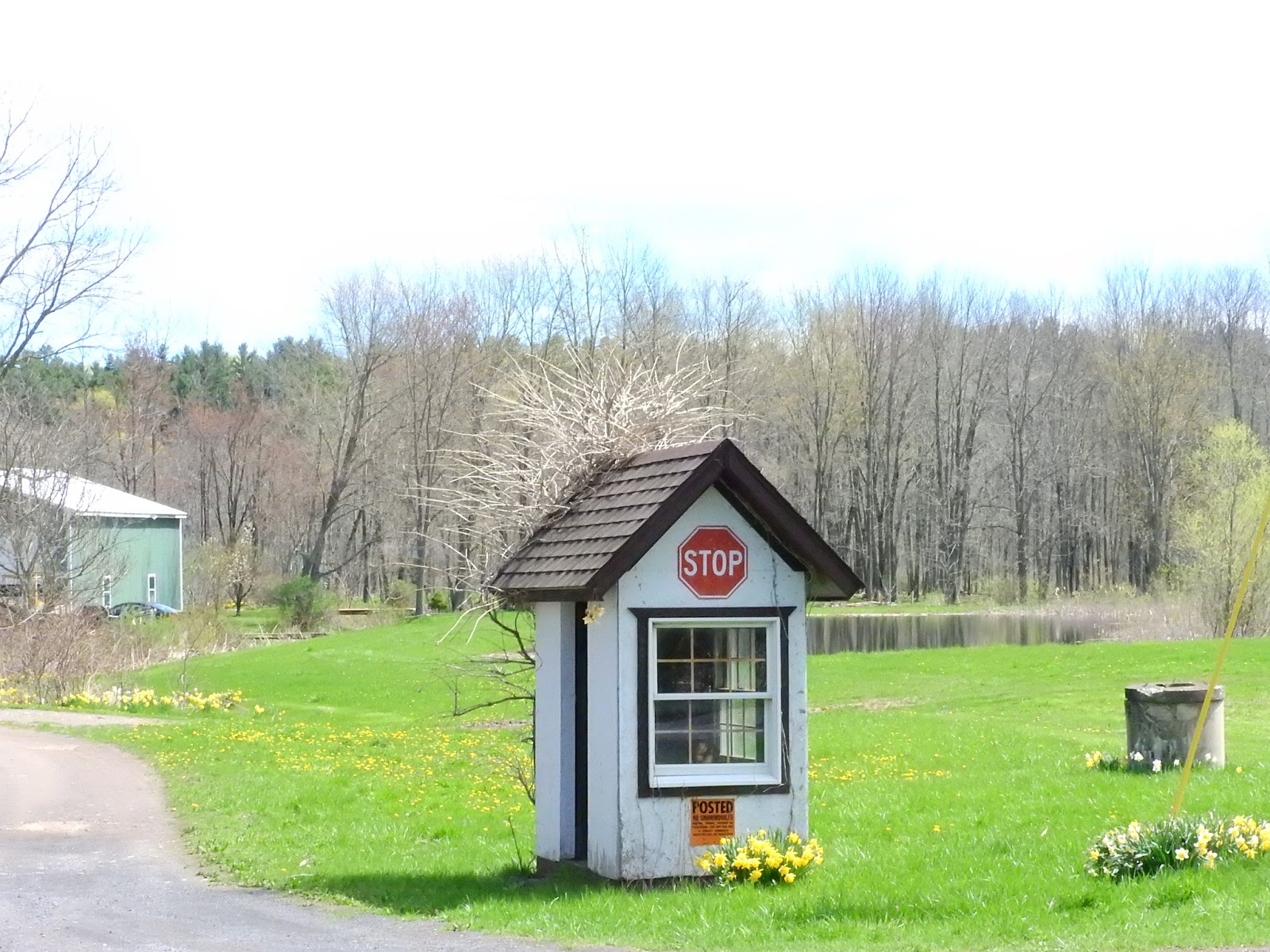 Merry@Syracuse: Homemade School Bus Shelter in Plainville