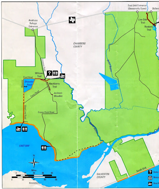 Turkey Tales and Frog Fables Trip to High Island Day One Anahuac NWR