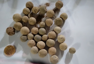 musket balls from the civil war found in Starcross