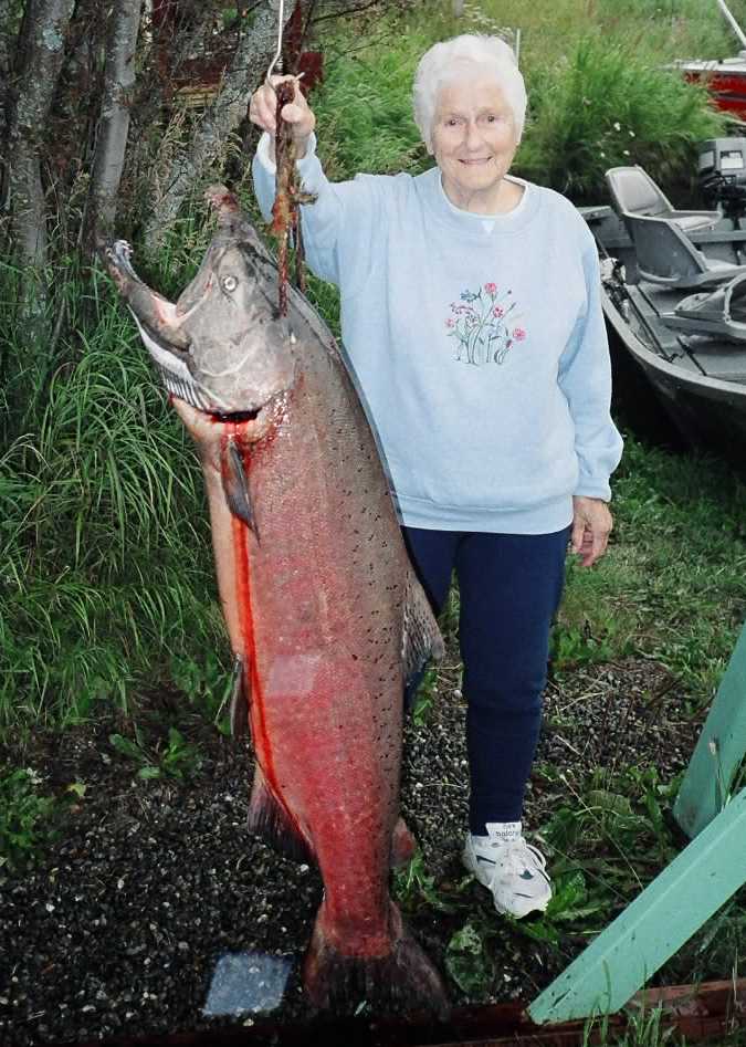 DOGWOOD Something fishy going on? Mysterious disappearance of Alaska's