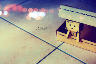 danbo picture