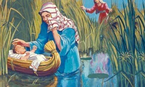 قصص معجزة موسى يسأل والله يجيب نبضات حياة