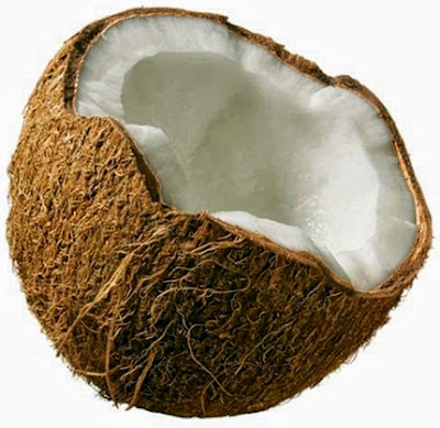 hubungan buah kelapa dan kolesterol