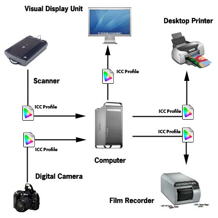 The Structure Of A Computer - asocc