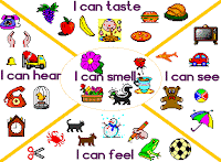 Miss Haley's Class: The Five Senses