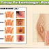 Pengobatan Wasir Cara Alami thumbnail
