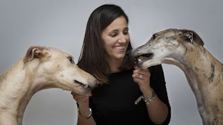 Como hacer de los galgos buenas mascotas Como hacer de los galgos buenas mascotas