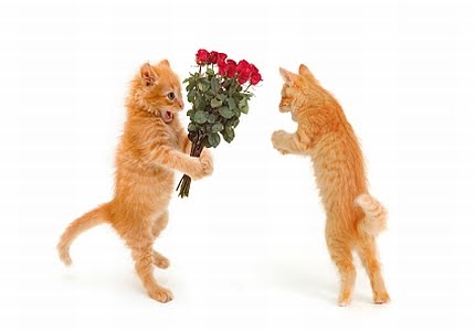 Dicas Praticas De Frances Para Brasileiros Amor Paquera L Amour Draguer