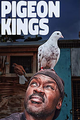 Pigeon Kings 2020 Dvd