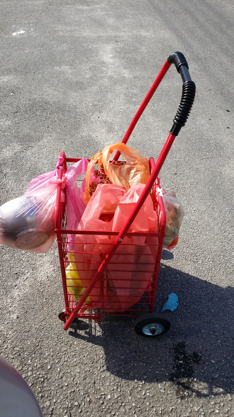 Xing Fu SHOPPING CART