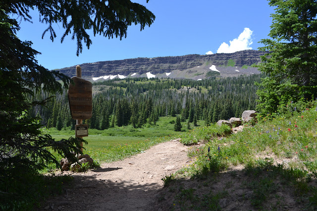 Flat Tops Wilderness sign in Routt National Forest