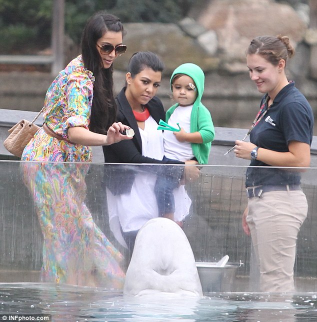 Hello Celebrity Kim Kardashian has a whale of a time (in impossibly
