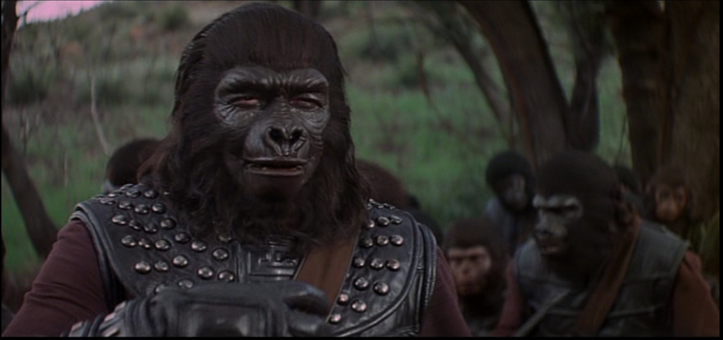 La Bataille De La Planete Des Singes Cat(s), Books & Rock 'n' Roll: La Bataille de la planète des singes (1973)