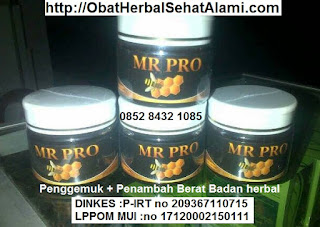 Cara cepat obat alami gemuk badan kurus/mengemukan tubuh binasyifa Cara cepat obat alami gemuk badan kurus/mengemukan tubuh binasyifa