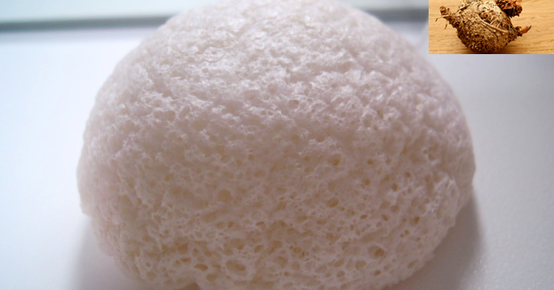 Blog L'éponge konjac de Kiko : un légume pour nettoyer Blog L'éponge konjac de Kiko : un légume pour nettoyer