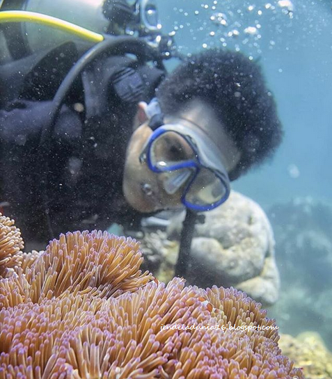 Bangsring Underwater, Mengeksplor Keindahan Panorama Alam Bawah Laut