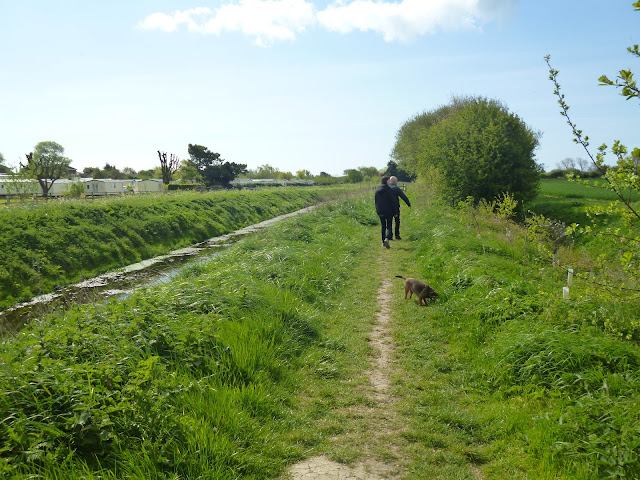 family and dog walking in the countryside