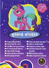 My Little Pony Wave 8 Ribbon Wishes Blind Bag Card