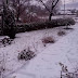 Το χιονισμένο Προδρόμι Παραμυθιάς (4 ΦΩΤΟ)