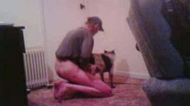 Mandogsex - man haveing sex with dog - Man fucking pussy of dog