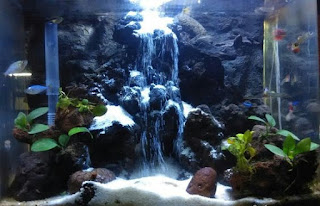 200 Referensi Desain Dan Model Aquascape Berdasarkan Tema https://www.faktapopuler.com/2018/12/200-referensi-desain-dan-model.html