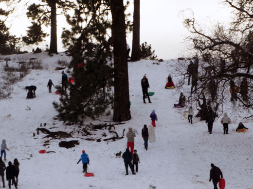 Rare San Diego Snow Day photo and story by Stacey Kuhns