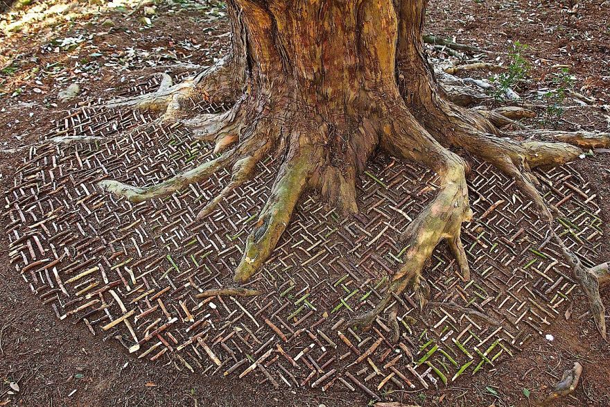 Artist Turns Natural Objects Into Mesmerizing Mandalas And Leaves Them For People To Discover Artist Turns Natural Objects Into Mesmerizing Mandalas And Leaves Them For People To Discover