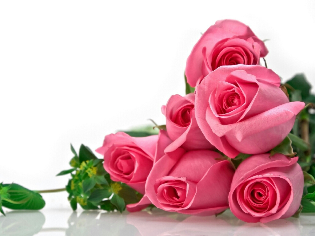 Flowers For Flower Wallpapers Beautiful Roses Flowers Wallpapers Beautiful Roses Backgrounds