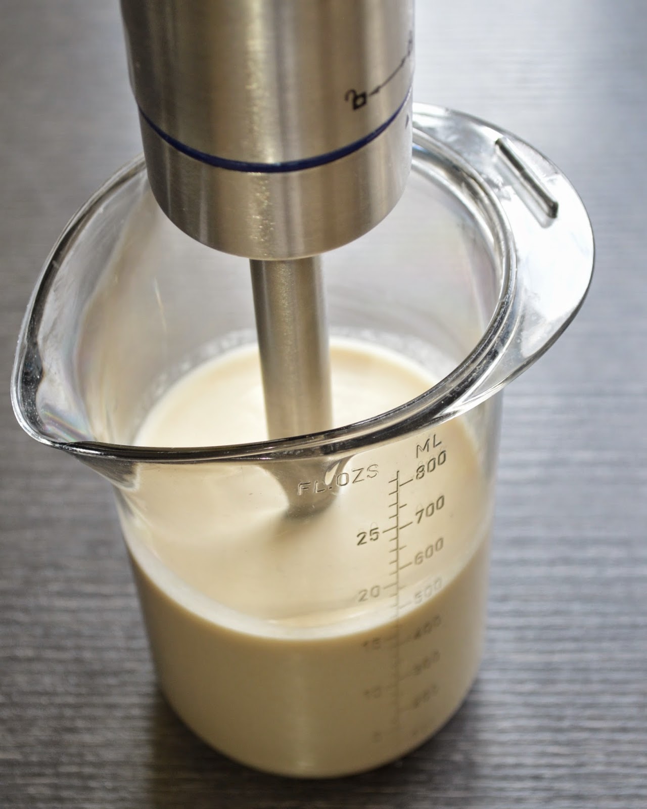 Kitchen Delights Stellar Stainless Steel Stick Blender Review