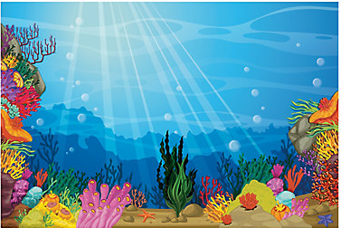 Underwater Set  Underwater theme, Underwater theme party, Ocean theme  classroom