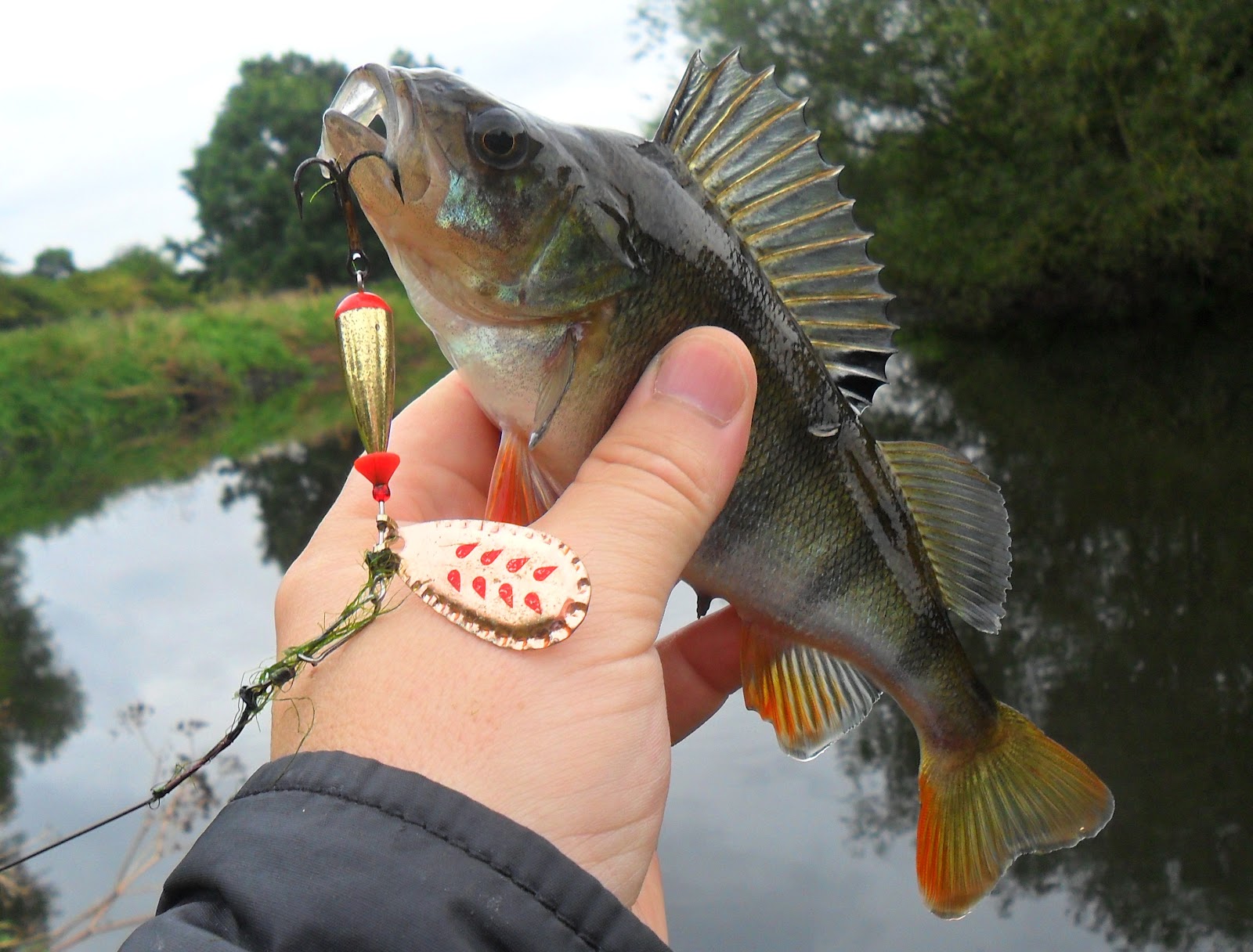 This Angling Life Gone Spinning part 2