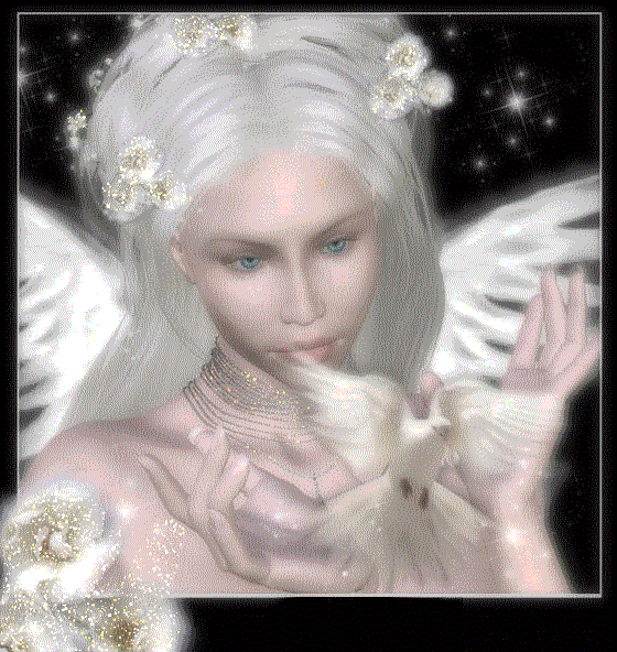 My Image 17