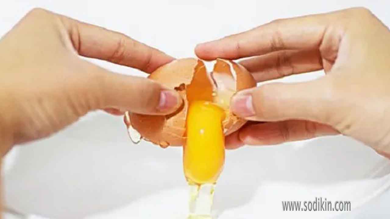 tidak-harus-membuang-kuning-telur-untuk-turunkan-berat-badan tidak-harus-membuang-kuning-telur-untuk-turunkan-berat-badan