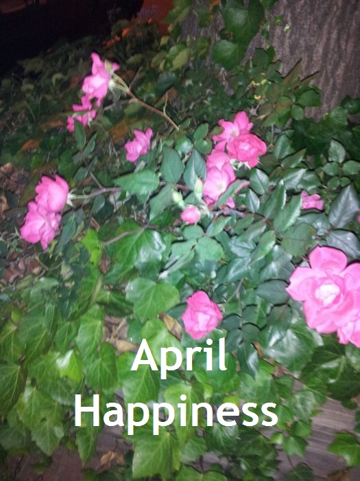 April Happiness
